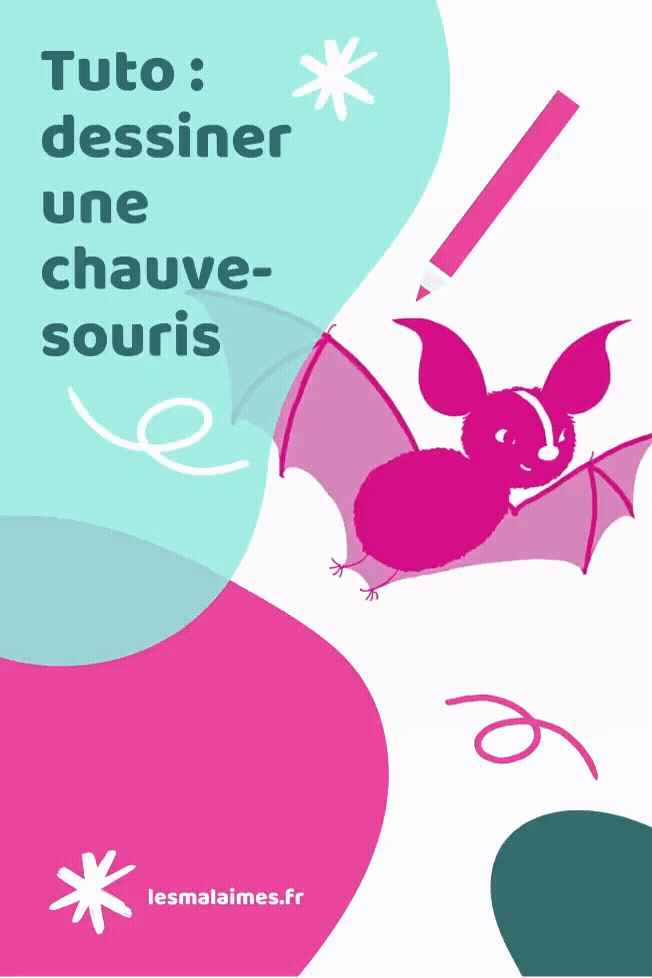 tuto-dessin-chauve-souris.gif