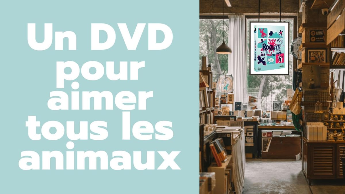 Roquette et les Mal-Aimés en DVD